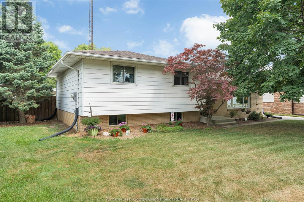 113 Hill Street, Cottam, Ontario  N0R 1B0 - Photo 3 - 25018661