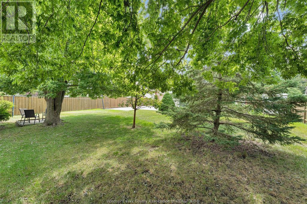 113 Hill Street, Cottam, Ontario  N0R 1B0 - Photo 43 - 25018661