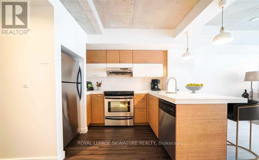 105 - 55 Stewart Street, Toronto, Ontario  M5V 2V1 - Photo 4 - C12302308