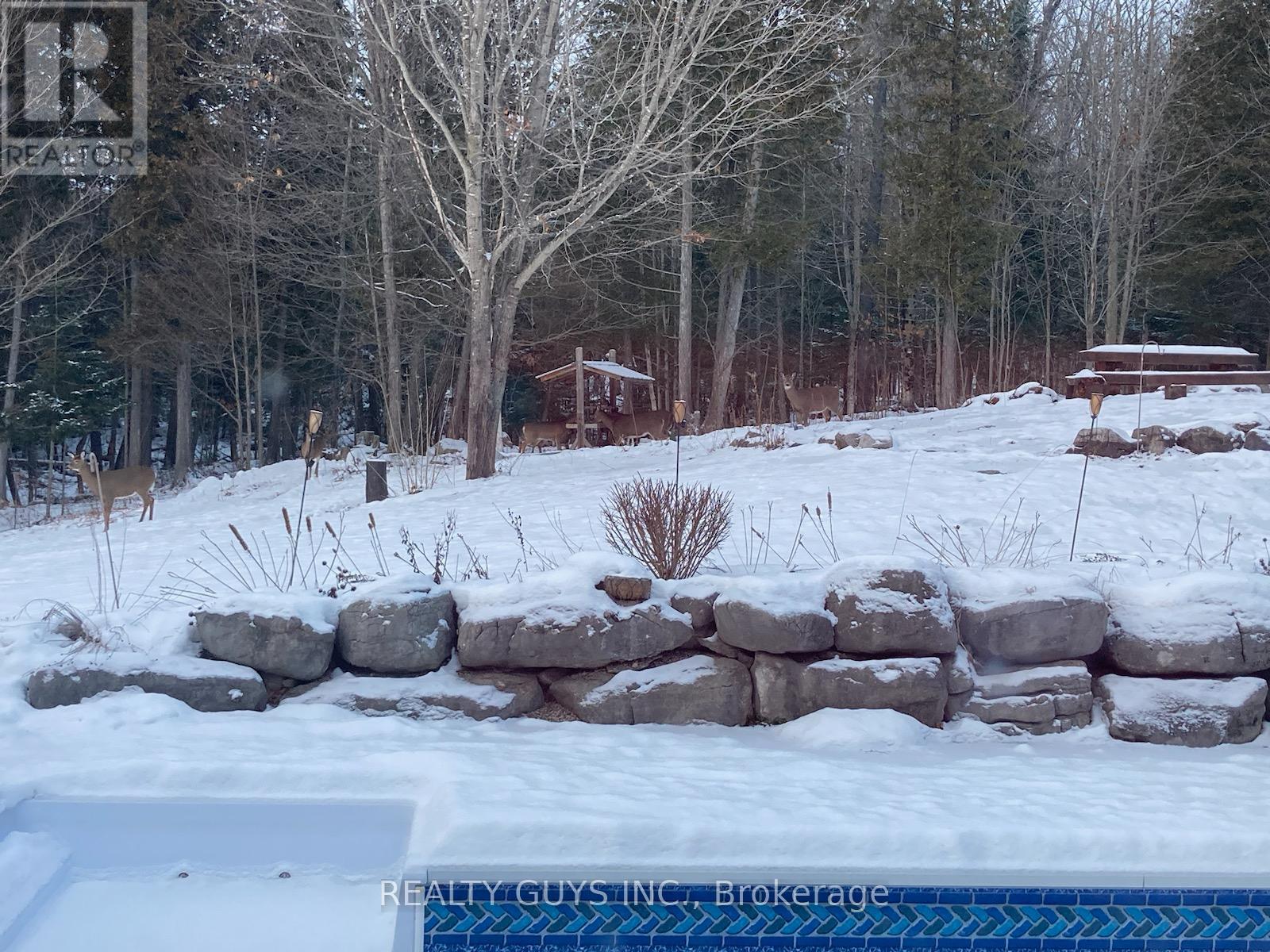 891 County Road, Trent Lakes, Ontario  K0M 1A0 - Photo 21 - X12302135