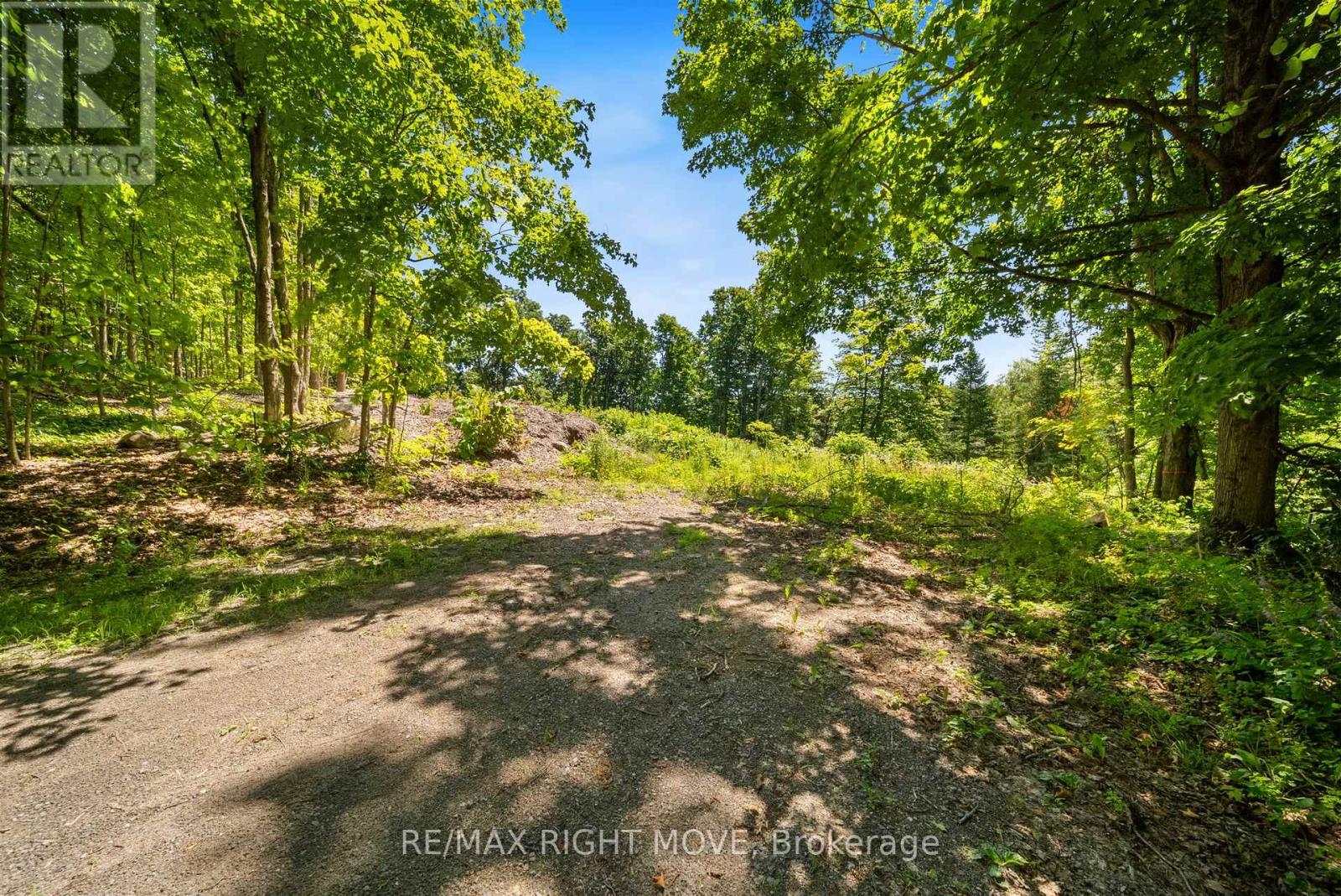 255 Pearl Drive, Gravenhurst, Ontario  P1P 1R2 - Photo 2 - X12302352