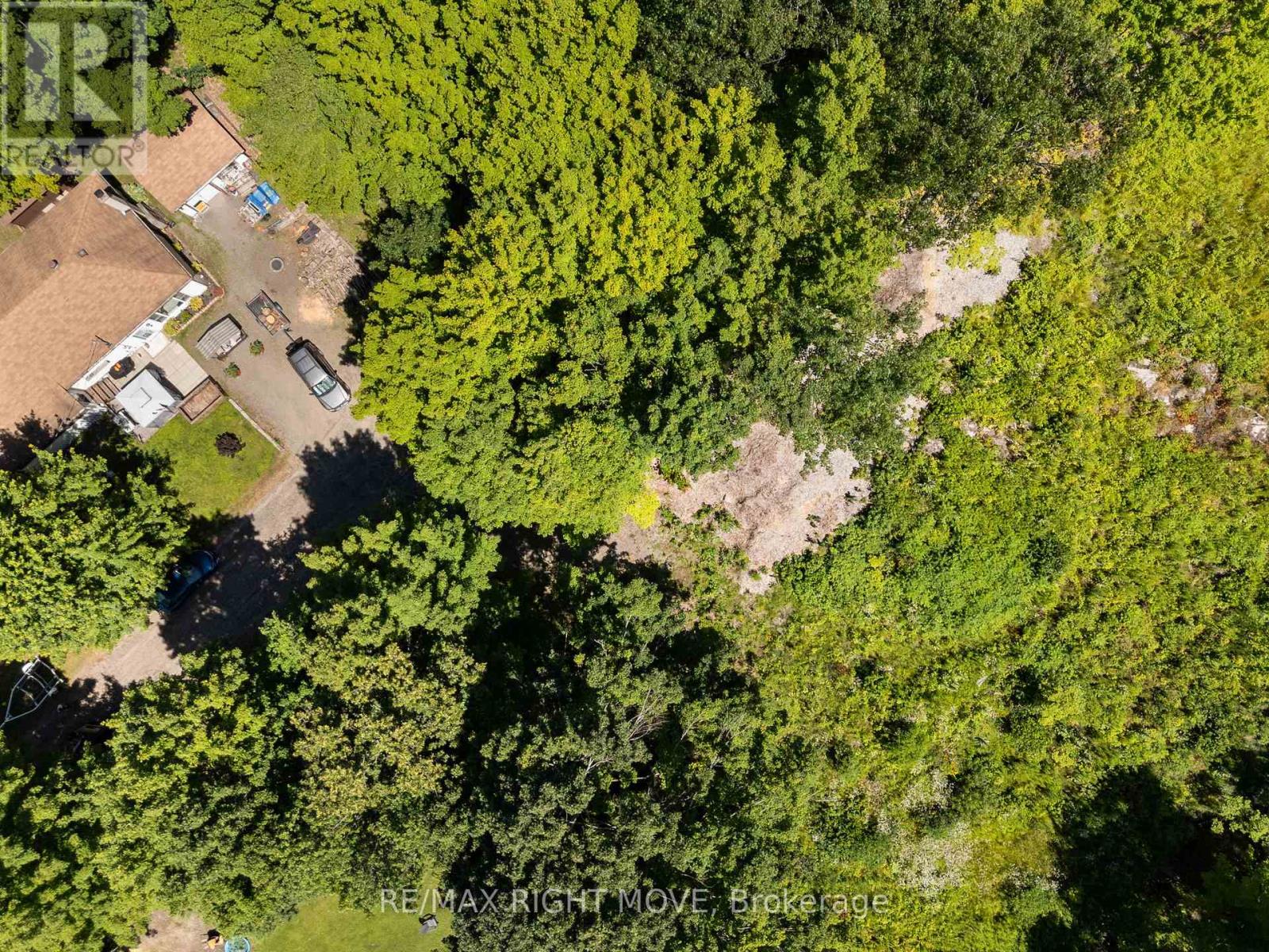 255 Pearl Drive, Gravenhurst, Ontario  P1P 1R2 - Photo 4 - X12302352