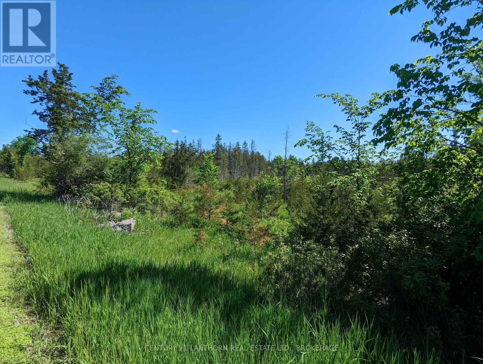 0 Pinegrove Road, Greater Napanee, Ontario  K0K 2W0 - Photo 13 - X12302463