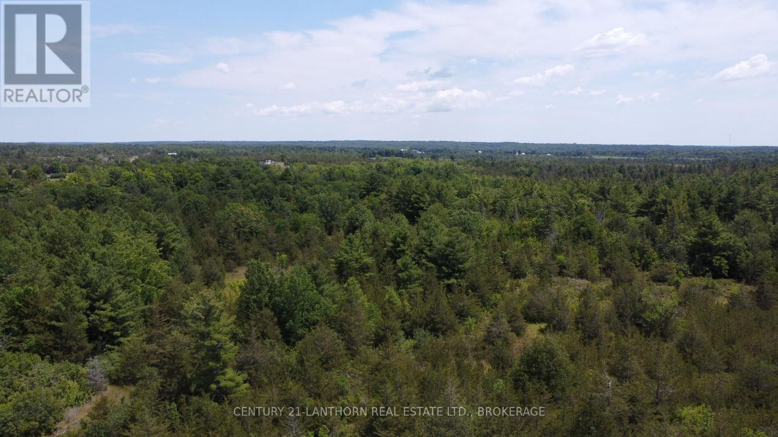 Property at 0 PINEGROVE ROAD image 3