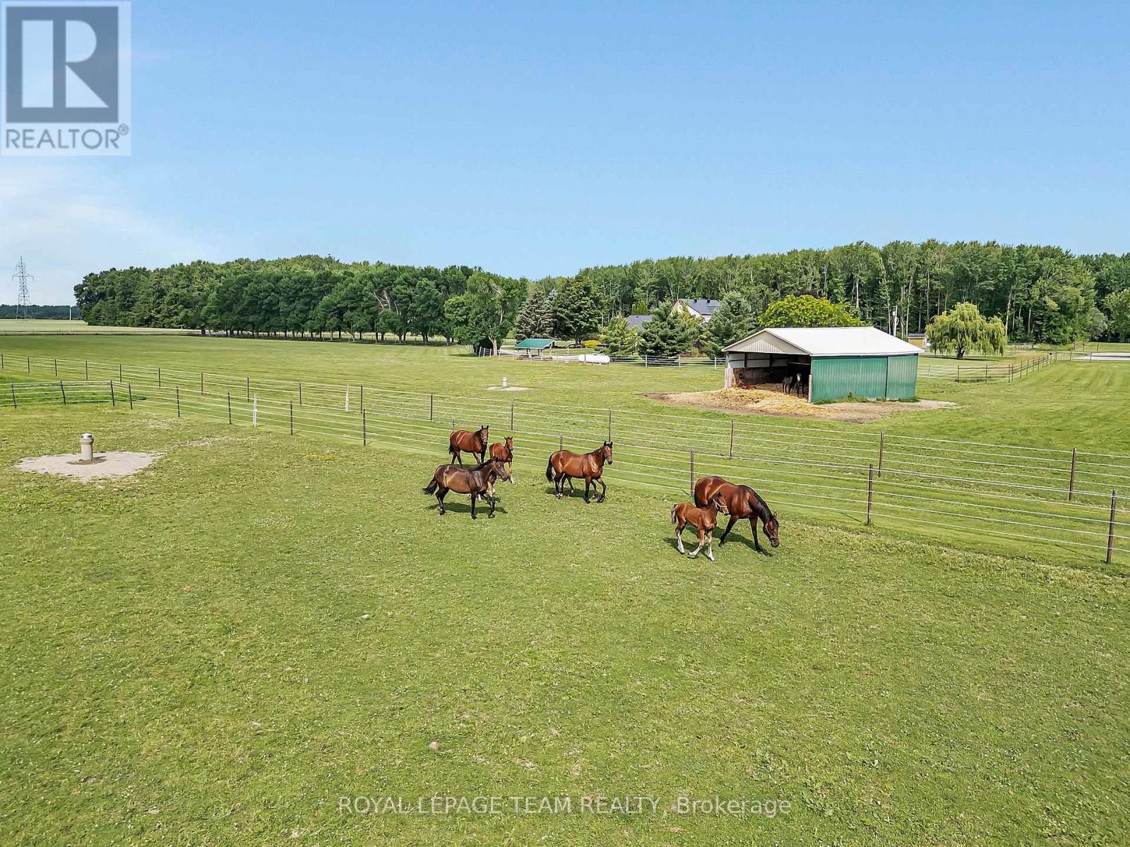 335 Hamilton Road, Russell, Ontario  K4R 0J1 - Photo 40 - X12302494