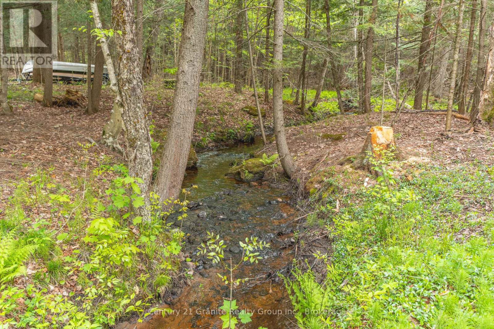 7032 County Road 121, Minden Hills, Ontario K0M 2K0 - Photo 37 - X12302603