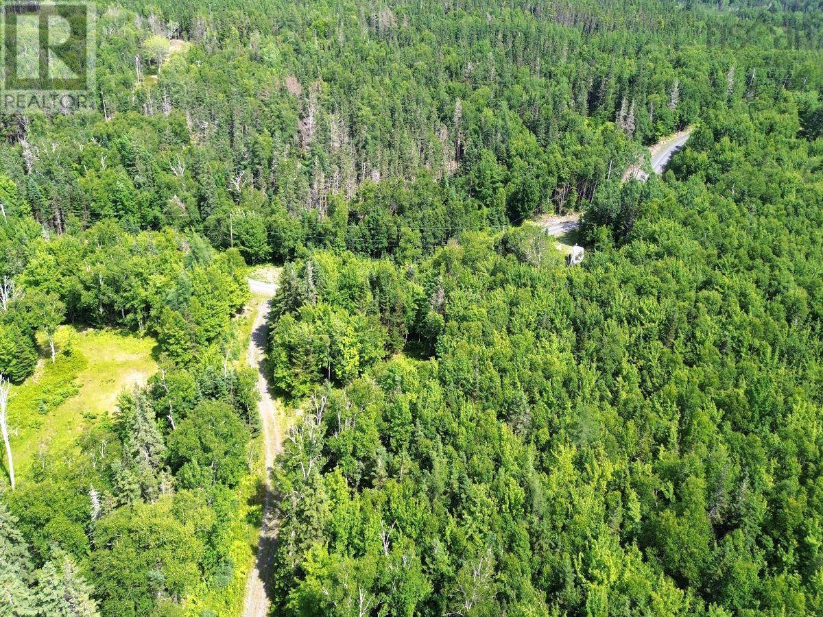 Nature Dream Boulevard, Roberta, Nova Scotia  B0E 3B0 - Photo 19 - 202518494