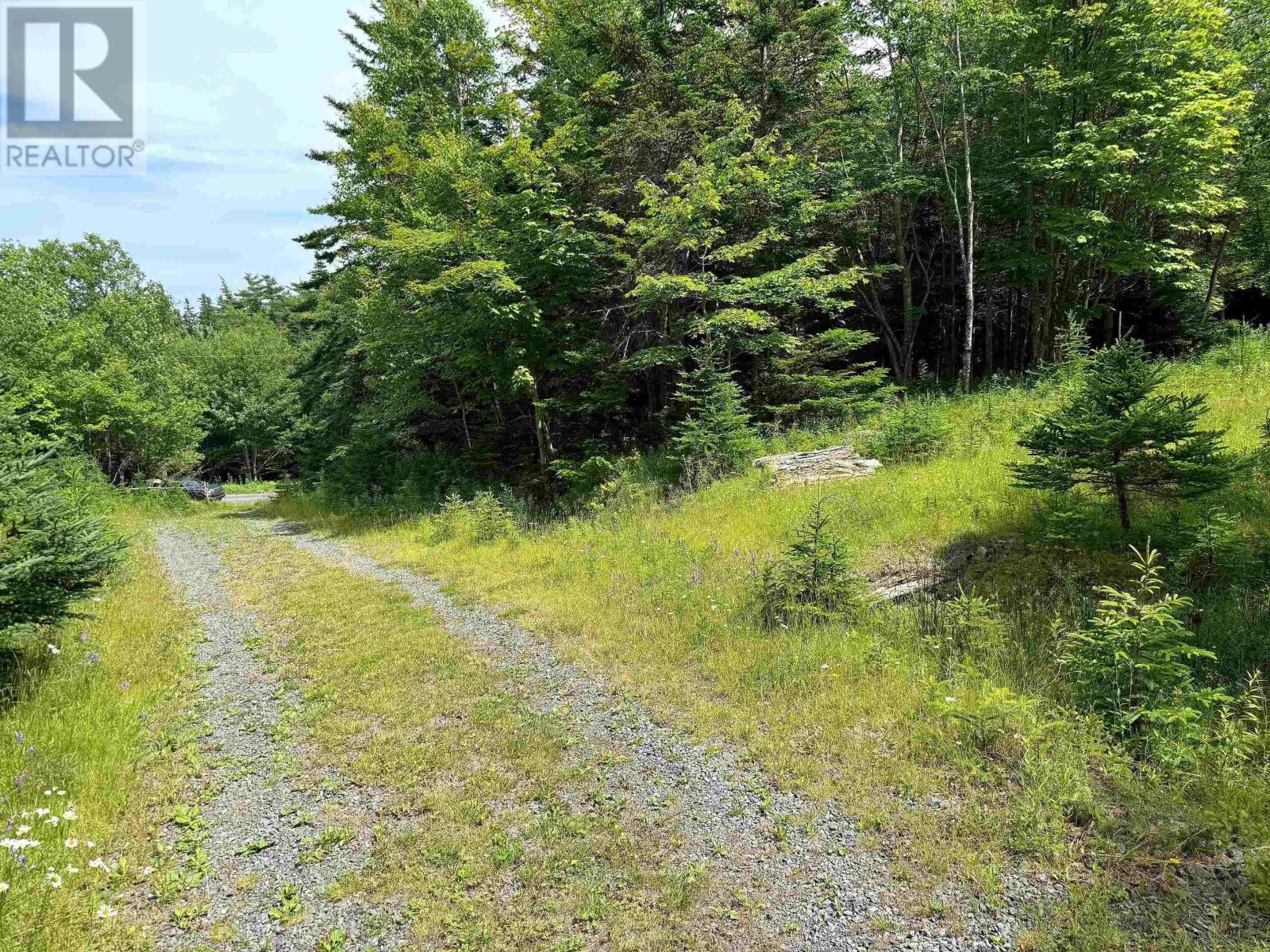 Nature Dream Boulevard, Roberta, Nova Scotia  B0E 3B0 - Photo 26 - 202518494