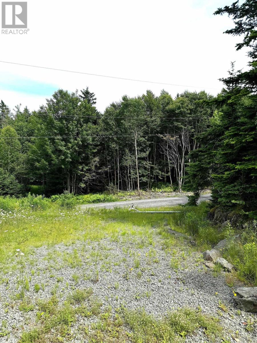 Nature Dream Boulevard, Roberta, Nova Scotia  B0E 3B0 - Photo 36 - 202518494