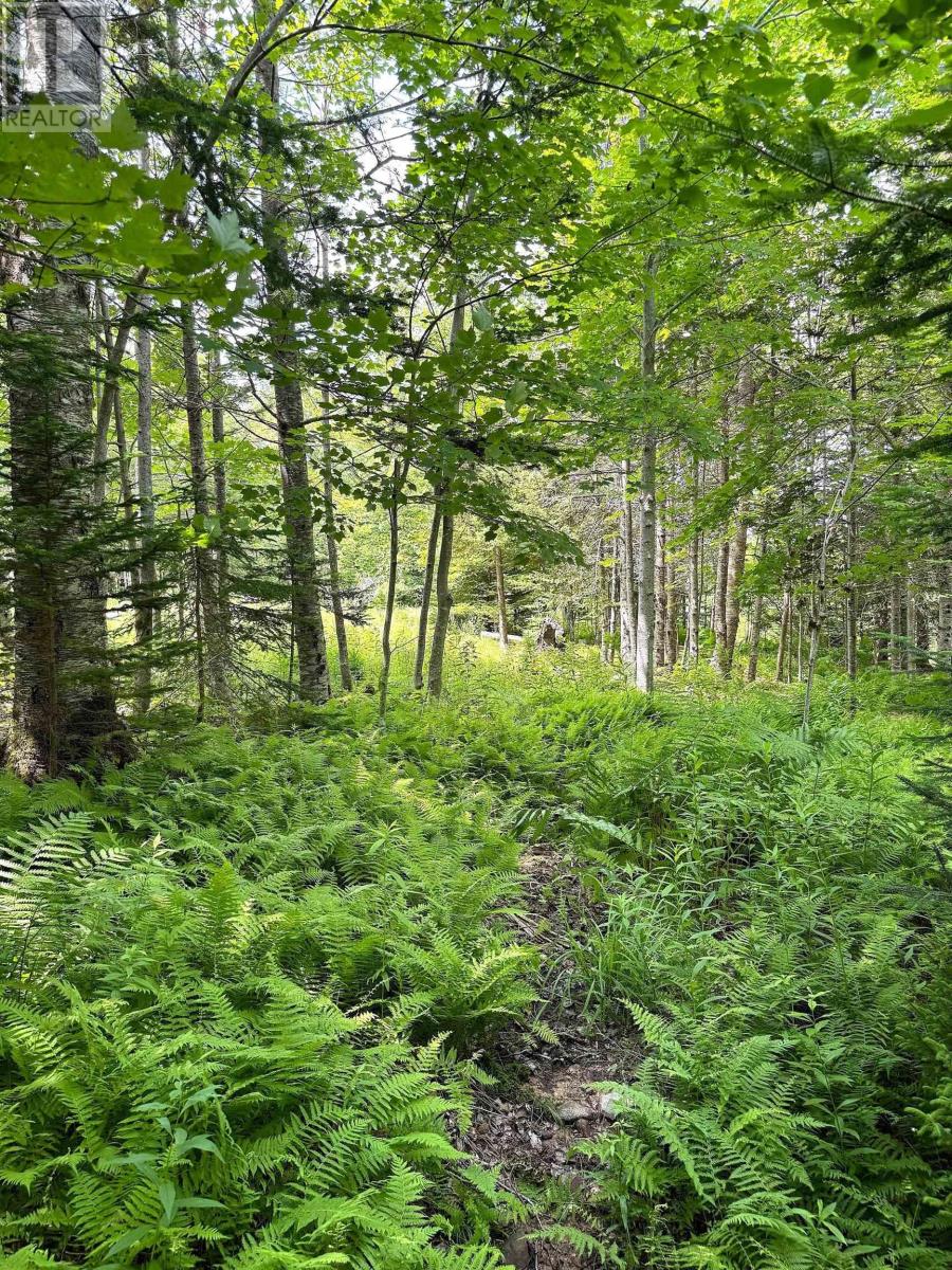 Nature Dream Boulevard, Roberta, Nova Scotia  B0E 3B0 - Photo 37 - 202518494