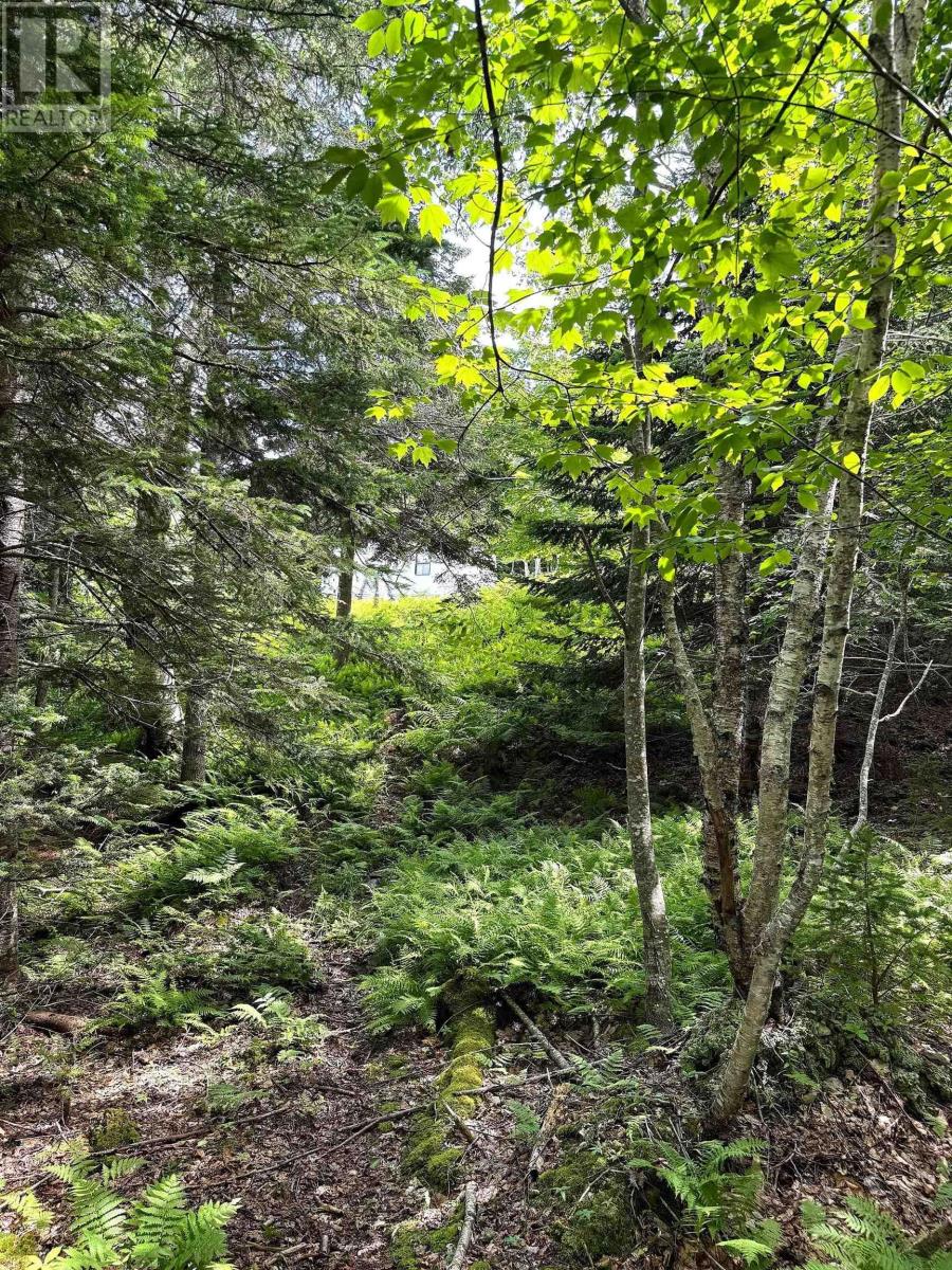 Nature Dream Boulevard, Roberta, Nova Scotia  B0E 3B0 - Photo 38 - 202518494