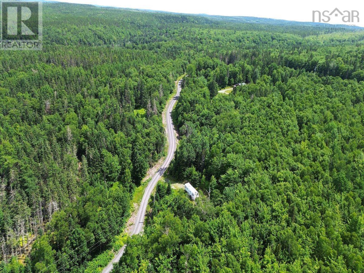 Nature Dream Boulevard, Roberta, Nova Scotia  B0E 3B0 - Photo 5 - 202518494