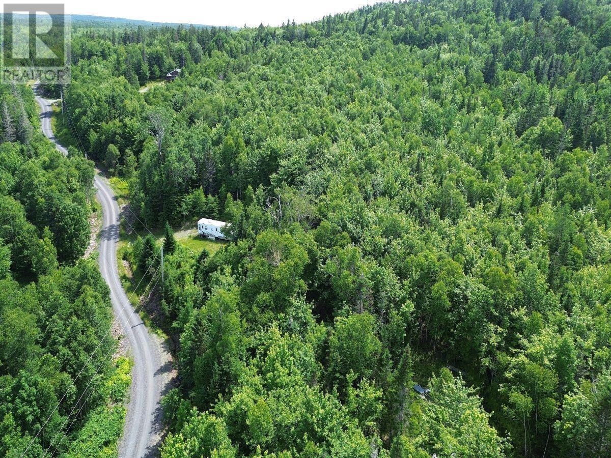 Nature Dream Boulevard, Roberta, Nova Scotia  B0E 3B0 - Photo 6 - 202518494