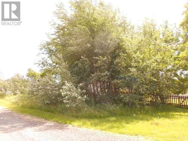 2-A Larch Street, Springdale, Newfoundland & Labrador  A0J 1T0 - Photo 3 - 1288288