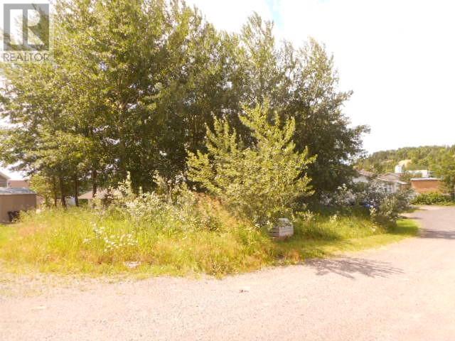 2-A Larch Street, Springdale, Newfoundland & Labrador  A0J 1T0 - Photo 4 - 1288288