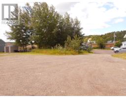 2-A Larch Street, Springdale, Newfoundland & Labrador
