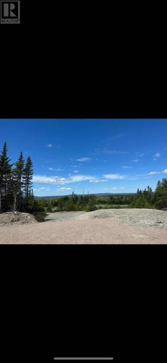 Route 91 Nine Mile Road, Colinet, Newfoundland & Labrador  A0B 1M0 - Photo 2 - 1288275