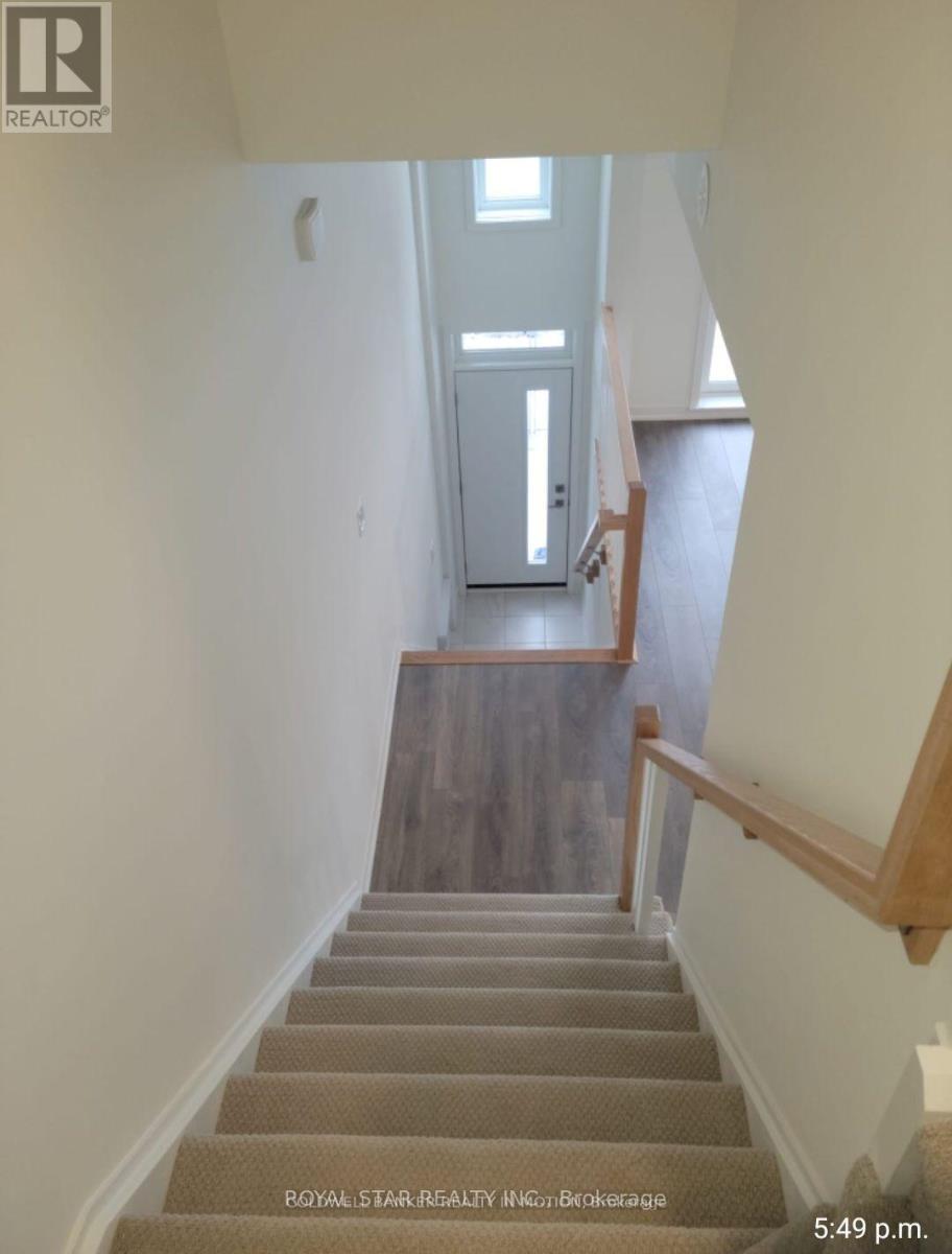 203 - 90 Canon Jackson Drive, Toronto, Ontario  M6M 0C1 - Photo 10 - W12289094