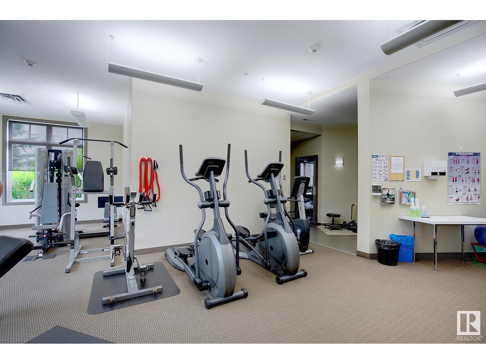 #340 160 Magrath Rd Nw, Edmonton, Alberta  T6R 3T7 - Photo 39 - E4449237