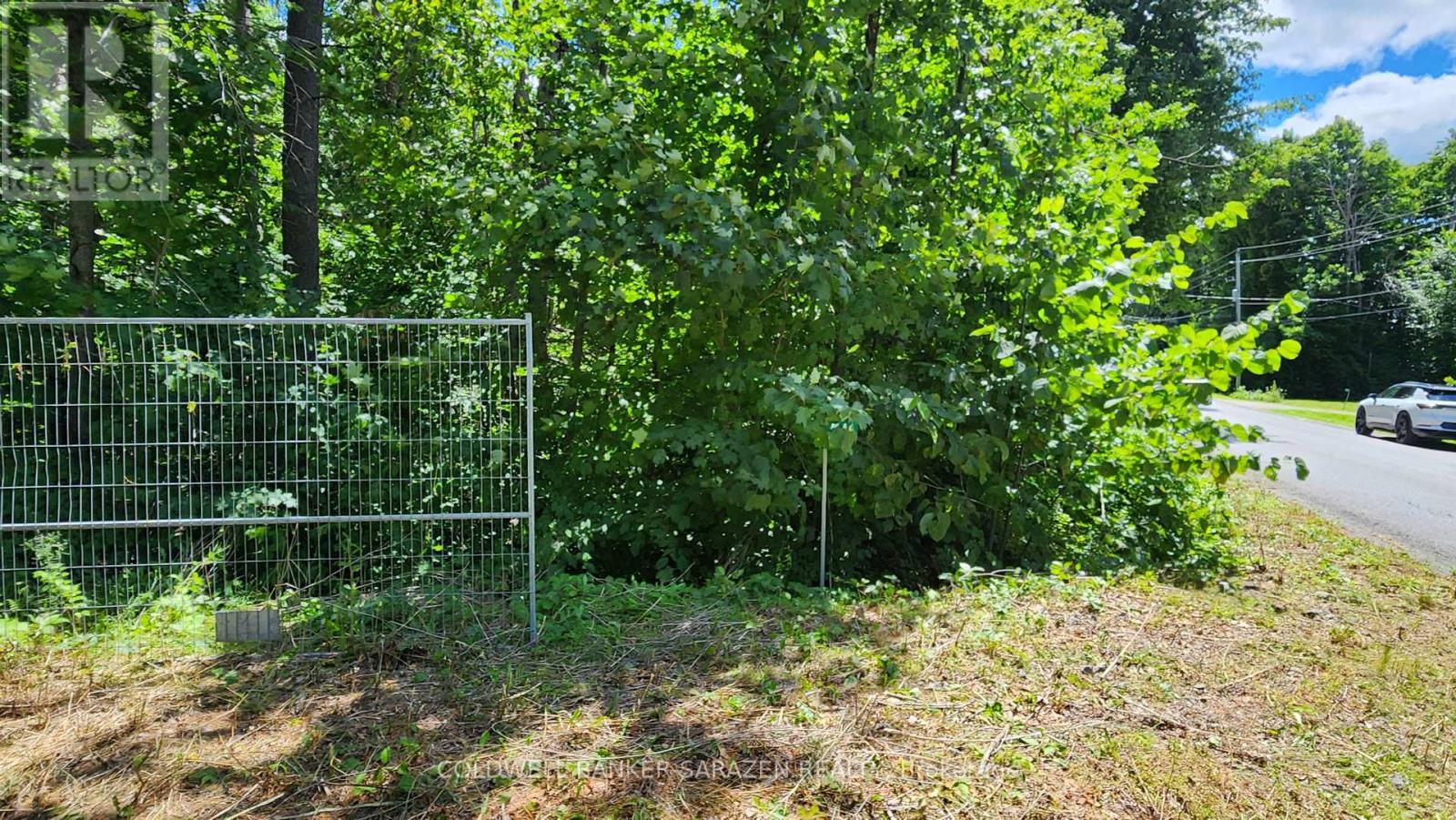 446 CAMPBELL DR DRIVE, mcnab/braeside, Ontario