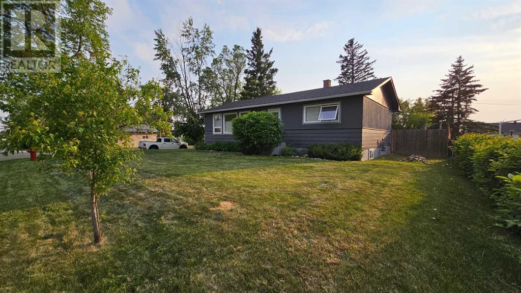 5502 51 Street, Castor, Alberta  T0C 0X0 - Photo 3 - A2228414