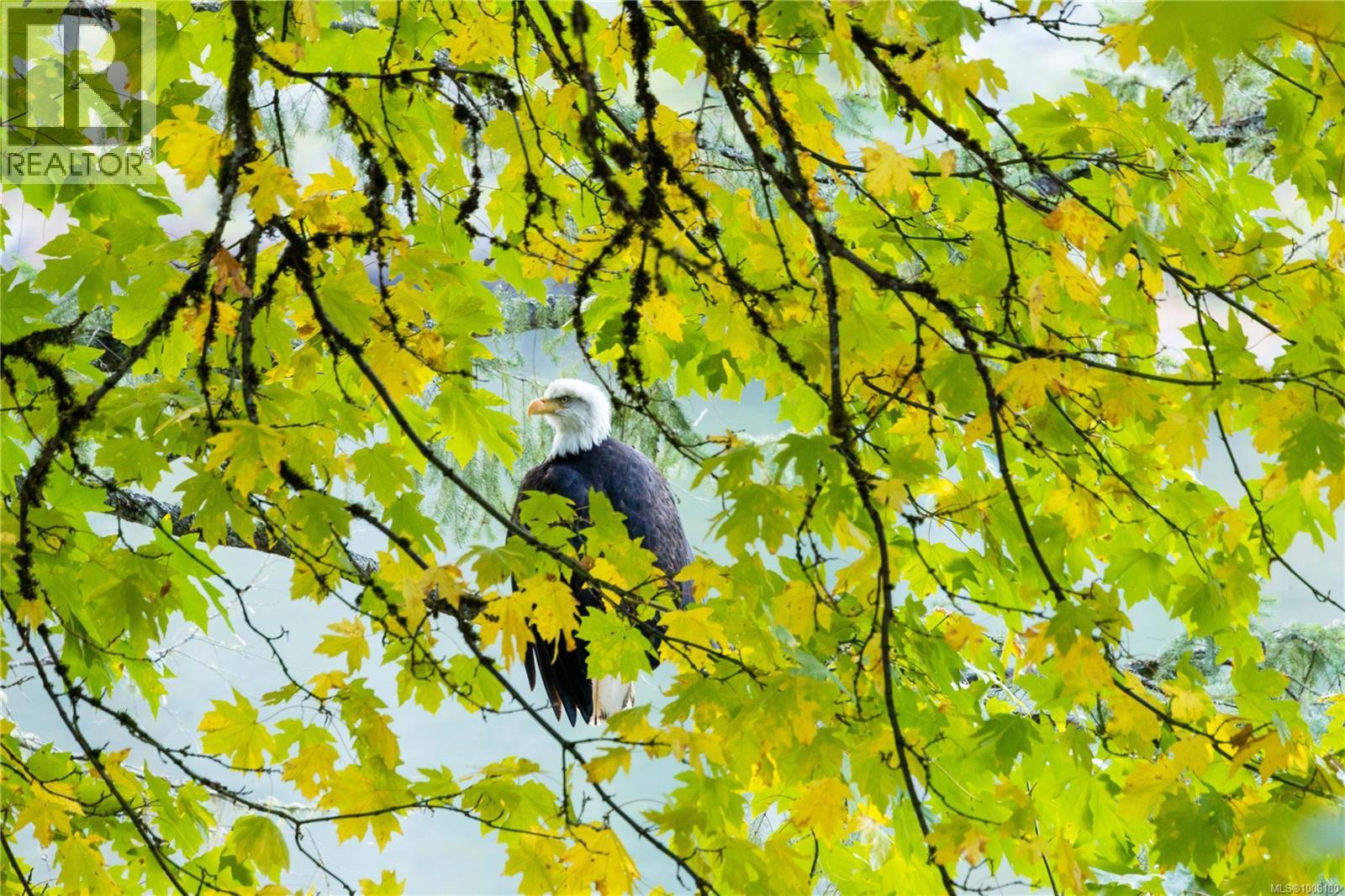 1713 Falcon Heights Rd, Langford, British Columbia  V9B 6H6 - Photo 13 - 1008180