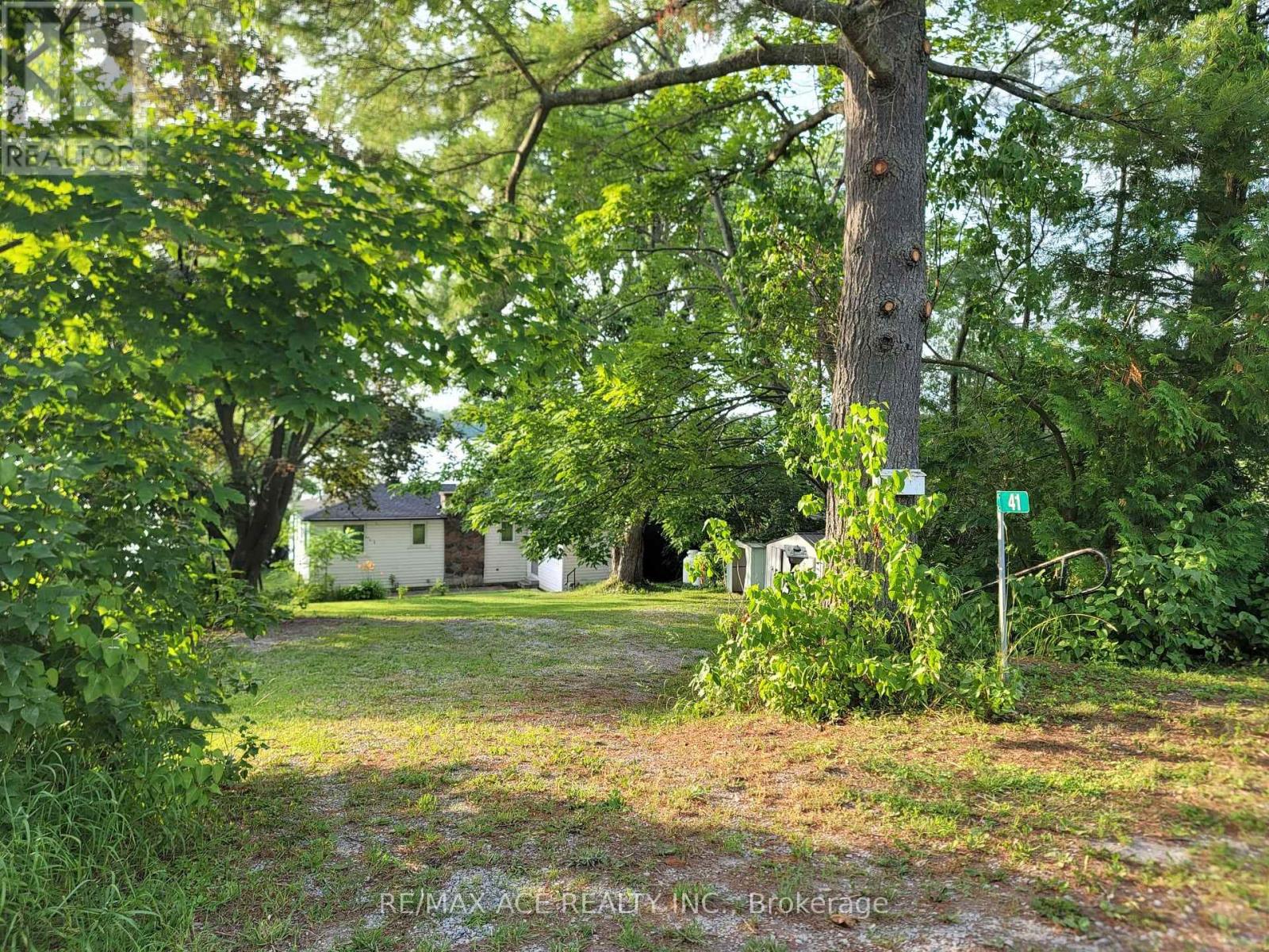 41 North Taylor Road, Kawartha Lakes (Carden), Ontario  K0M 2B0 - Photo 11 - X12292718