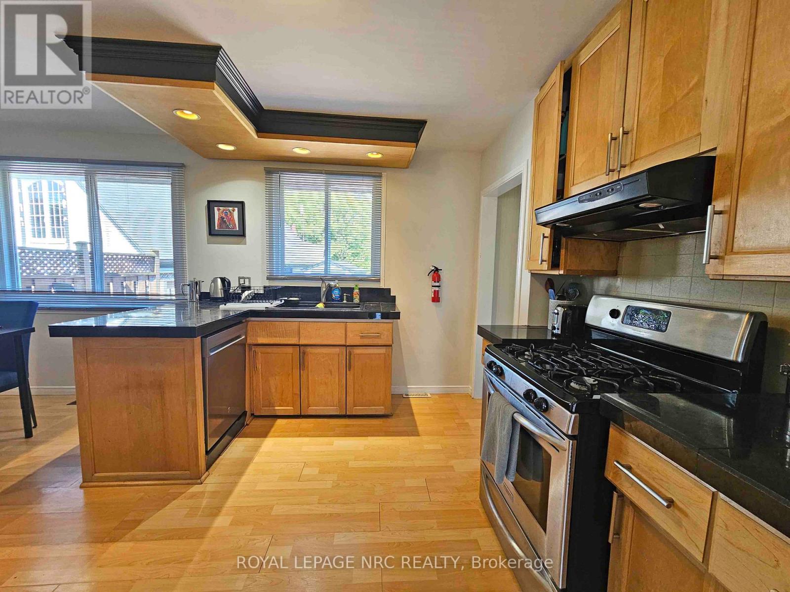 228 Pelham Road, St. Catharines, Ontario  L2S 1X6 - Photo 20 - X12303820