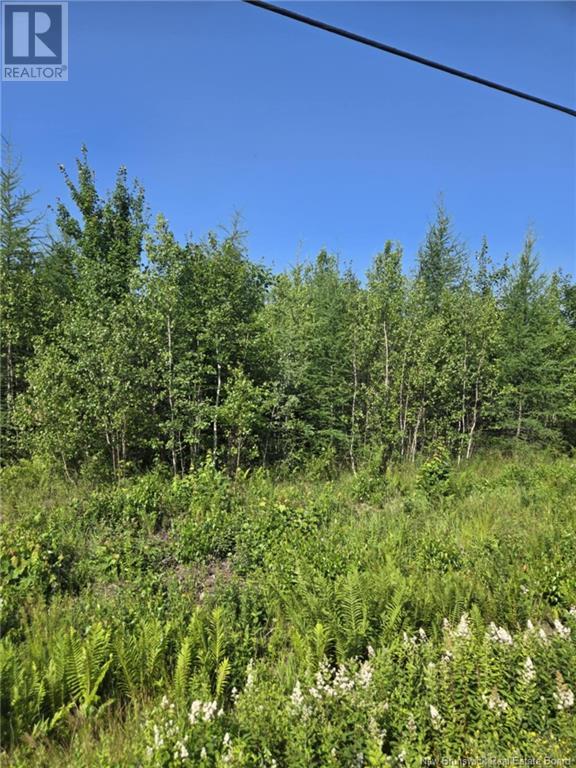 Property at Lot 3 Route 10 image 5
