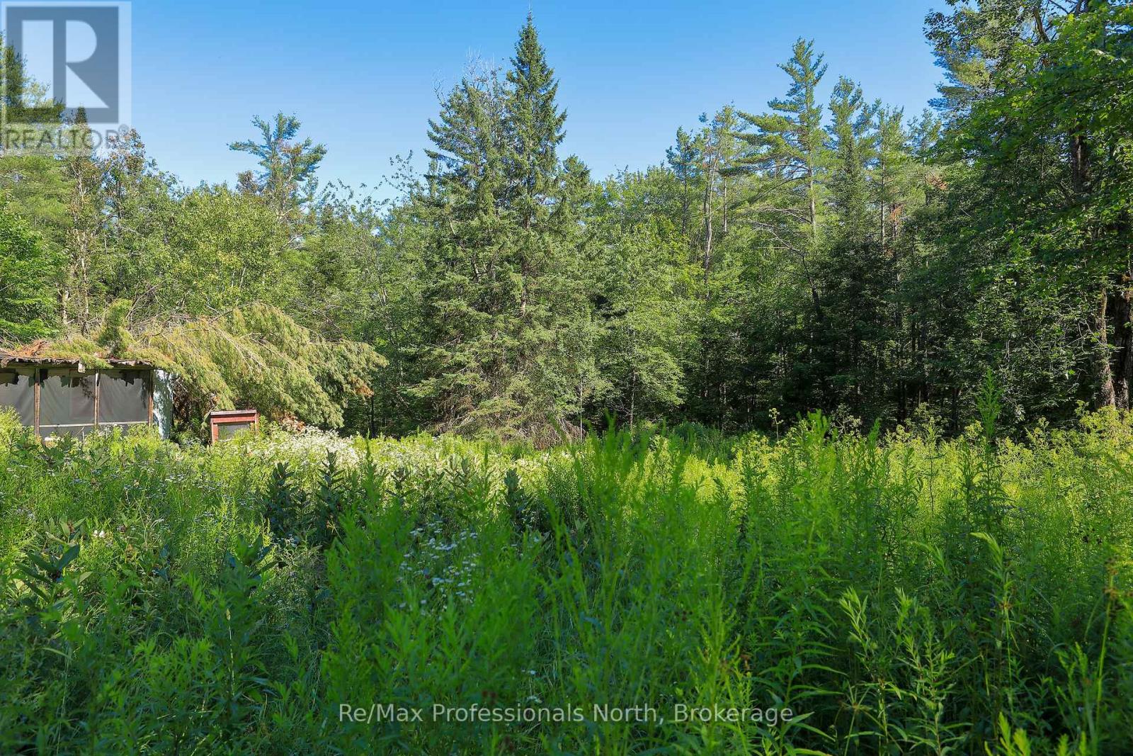 1137 Blackmore Road, Bracebridge, Ontario  P1P 1X1 - Photo 10 - X12303910