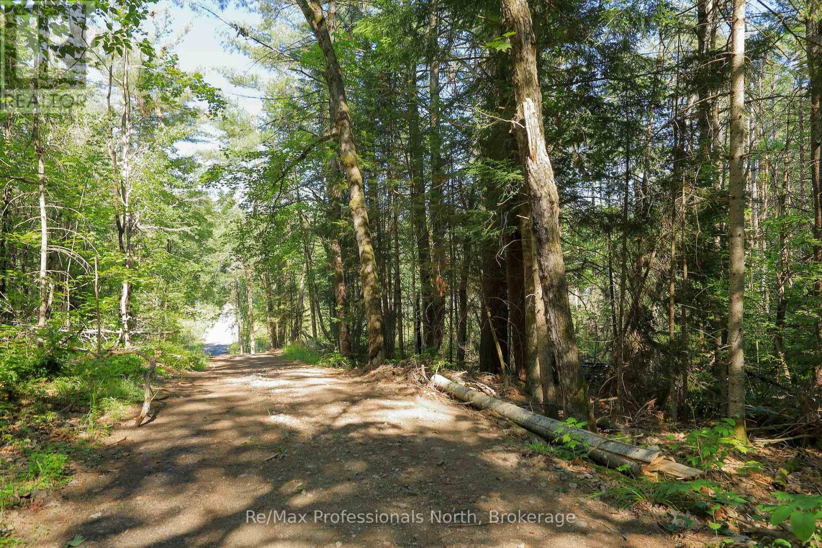 1137 Blackmore Road, Bracebridge, Ontario  P1P 1X1 - Photo 11 - X12303910