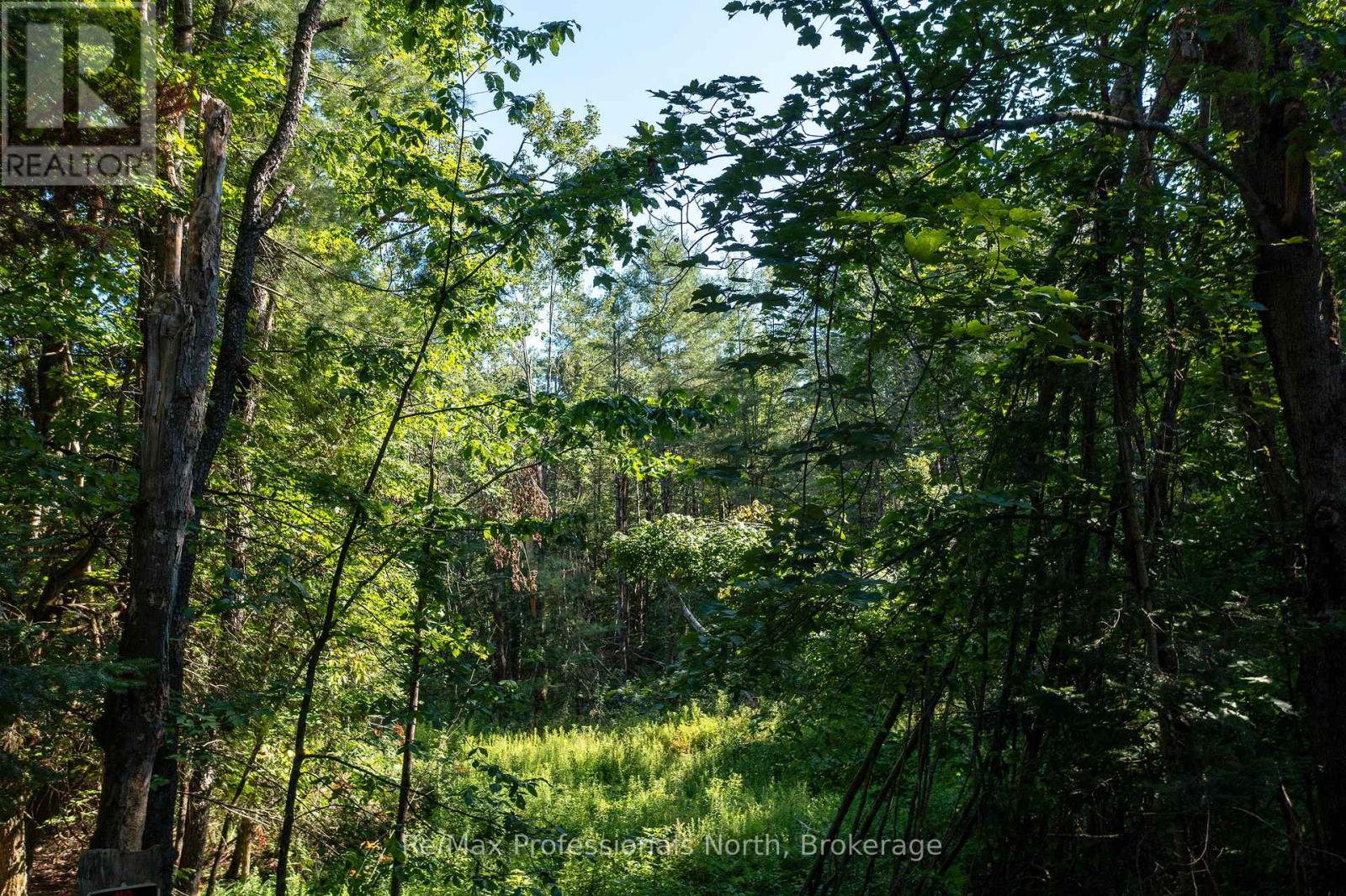 1137 Blackmore Road, Bracebridge, Ontario  P1P 1X1 - Photo 2 - X12303910