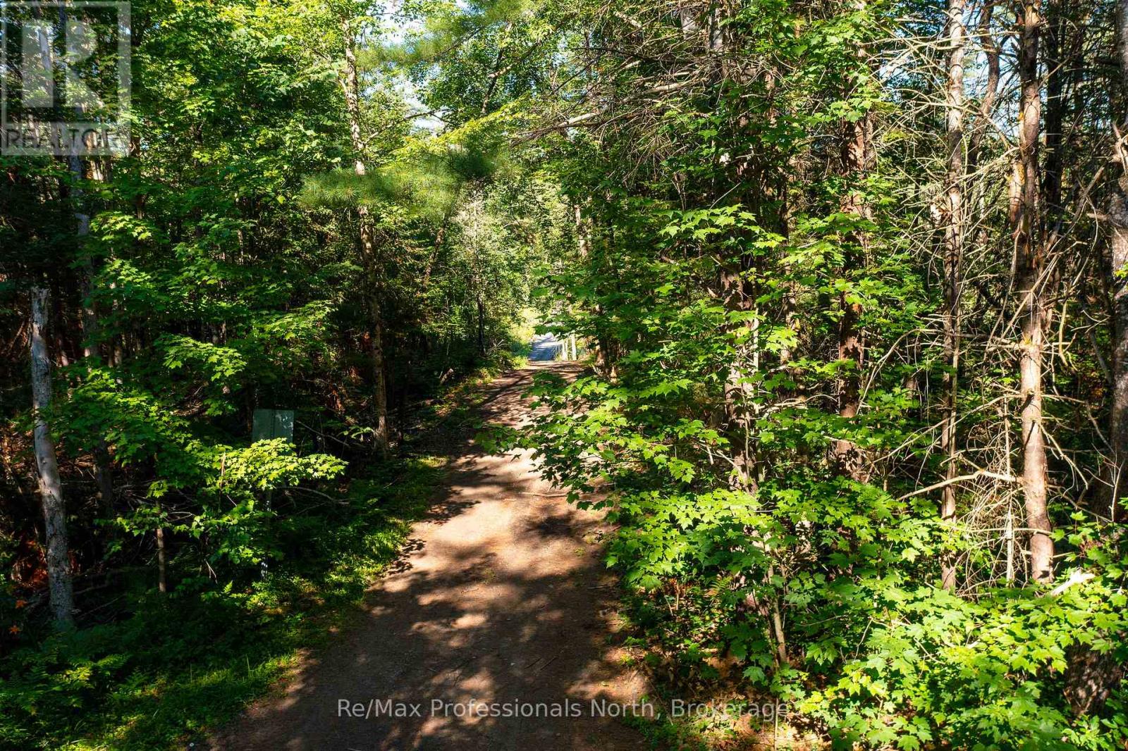 1137 Blackmore Road, Bracebridge, Ontario  P1P 1X1 - Photo 5 - X12303910