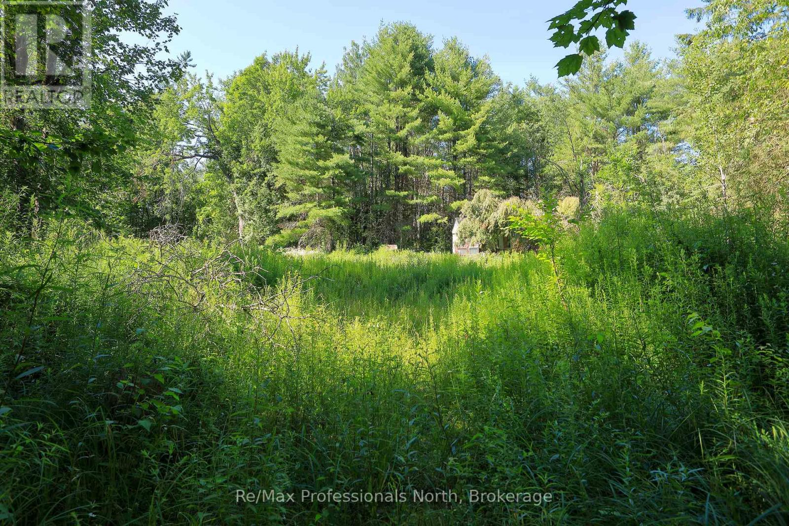 1137 Blackmore Road, Bracebridge, Ontario  P1P 1X1 - Photo 6 - X12303910