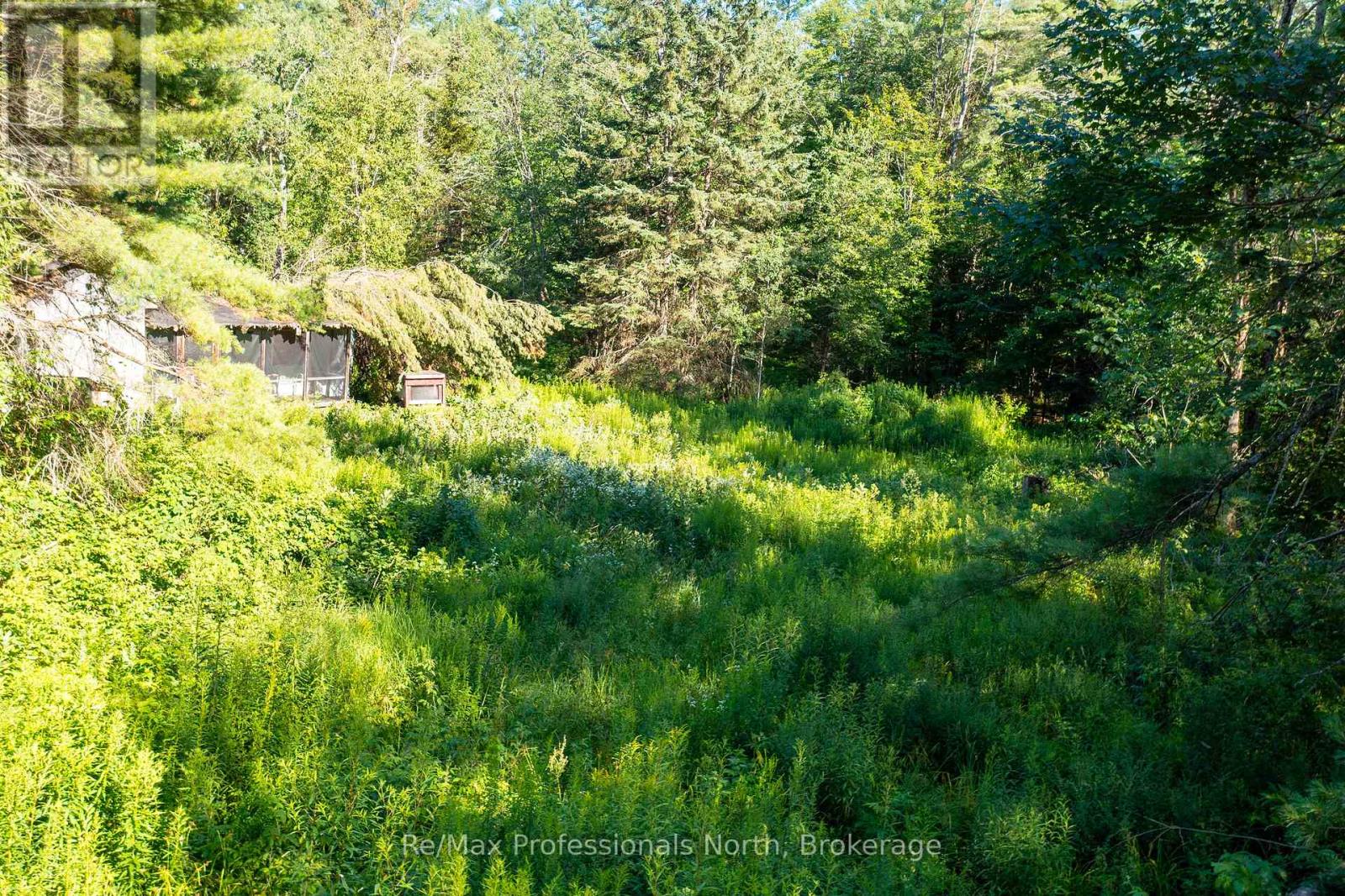 1137 Blackmore Road, Bracebridge, Ontario  P1P 1X1 - Photo 8 - X12303910