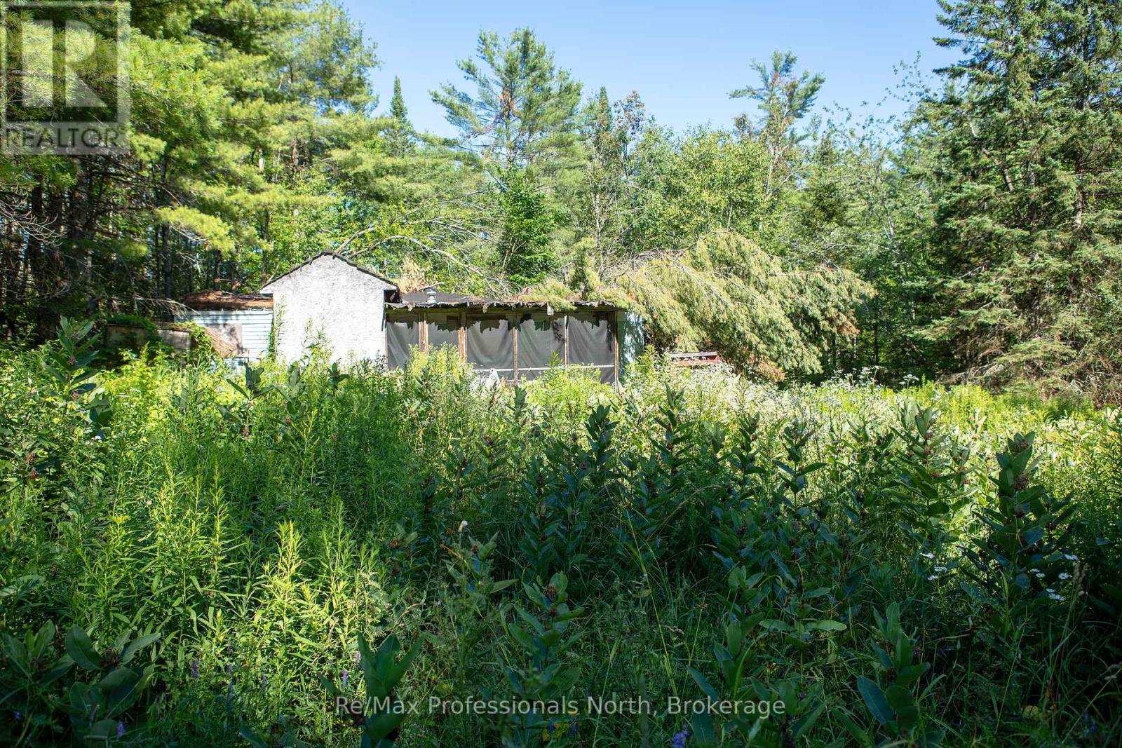 1137 Blackmore Road, Bracebridge, Ontario  P1P 1X1 - Photo 9 - X12303910