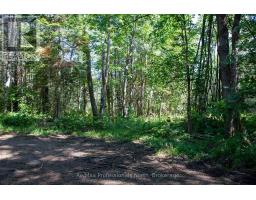 1137 BLACKMORE ROAD, bracebridge (draper), Ontario