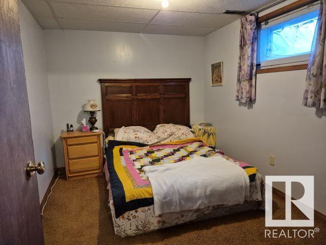 5315 - 51 St, Jarvie, Alberta  T0G 1H0 - Photo 15 - E4449289