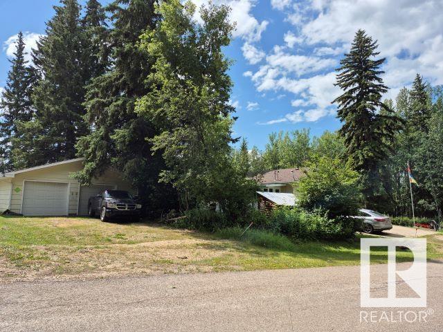 5315 - 51 St, Jarvie, Alberta  T0G 1H0 - Photo 18 - E4449289