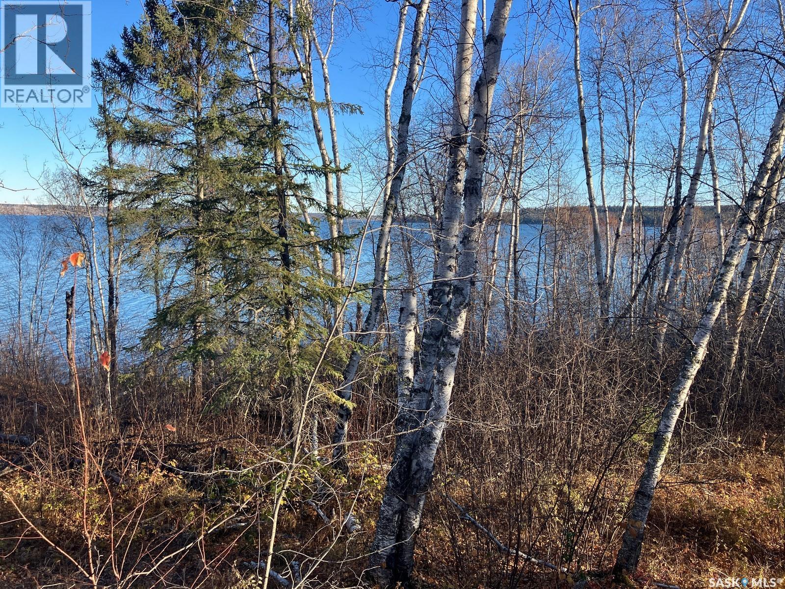 1 Birch Place, Nipawin Rm No. 487, Saskatchewan  S0E 1E0 - Photo 40 - SK013607