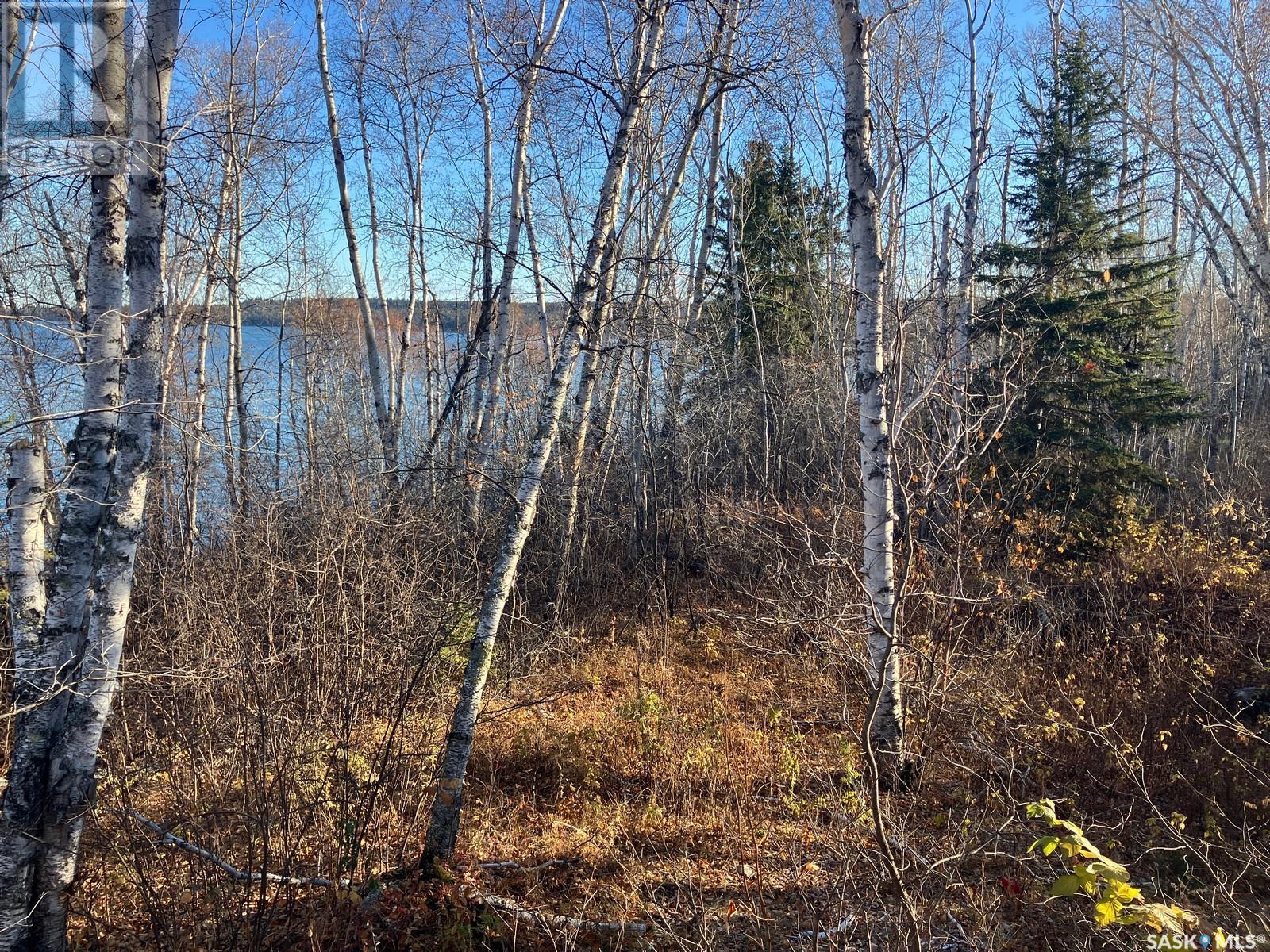 1 Birch Place, Nipawin Rm No. 487, Saskatchewan  S0E 1E0 - Photo 45 - SK013607