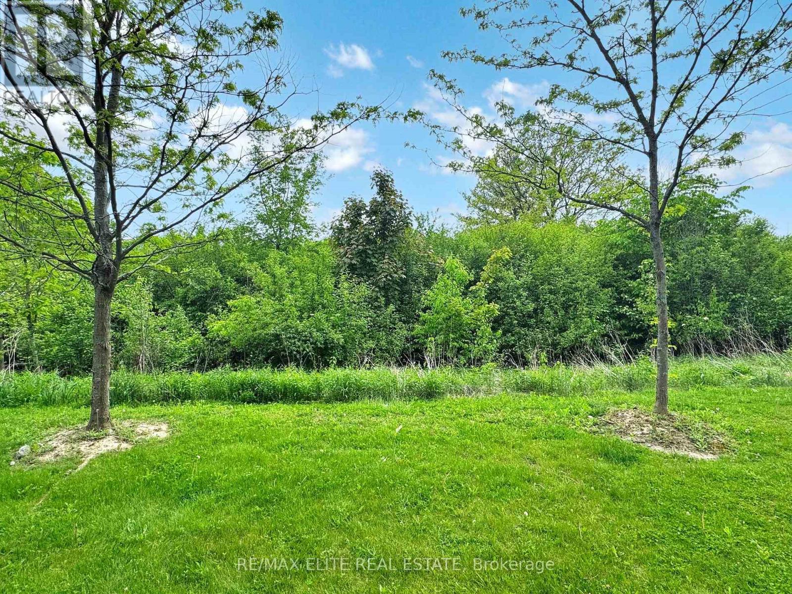 700 Wendy Culbert Crescent, Newmarket, Ontario  L3X 0A4 - Photo 25 - N12304006