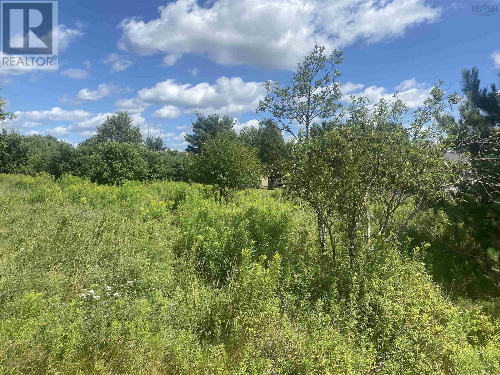 Lot 24 Old Court House Branch Road, Murray Siding, Nova Scotia  B6L 3X4 - Photo 2 - 202518538