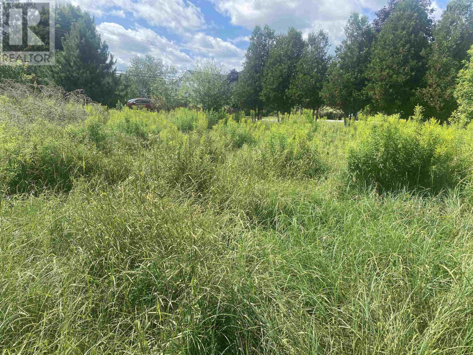 Lot 24 Old Court House Branch Road, Murray Siding, Nova Scotia  B6L 3X4 - Photo 4 - 202518538