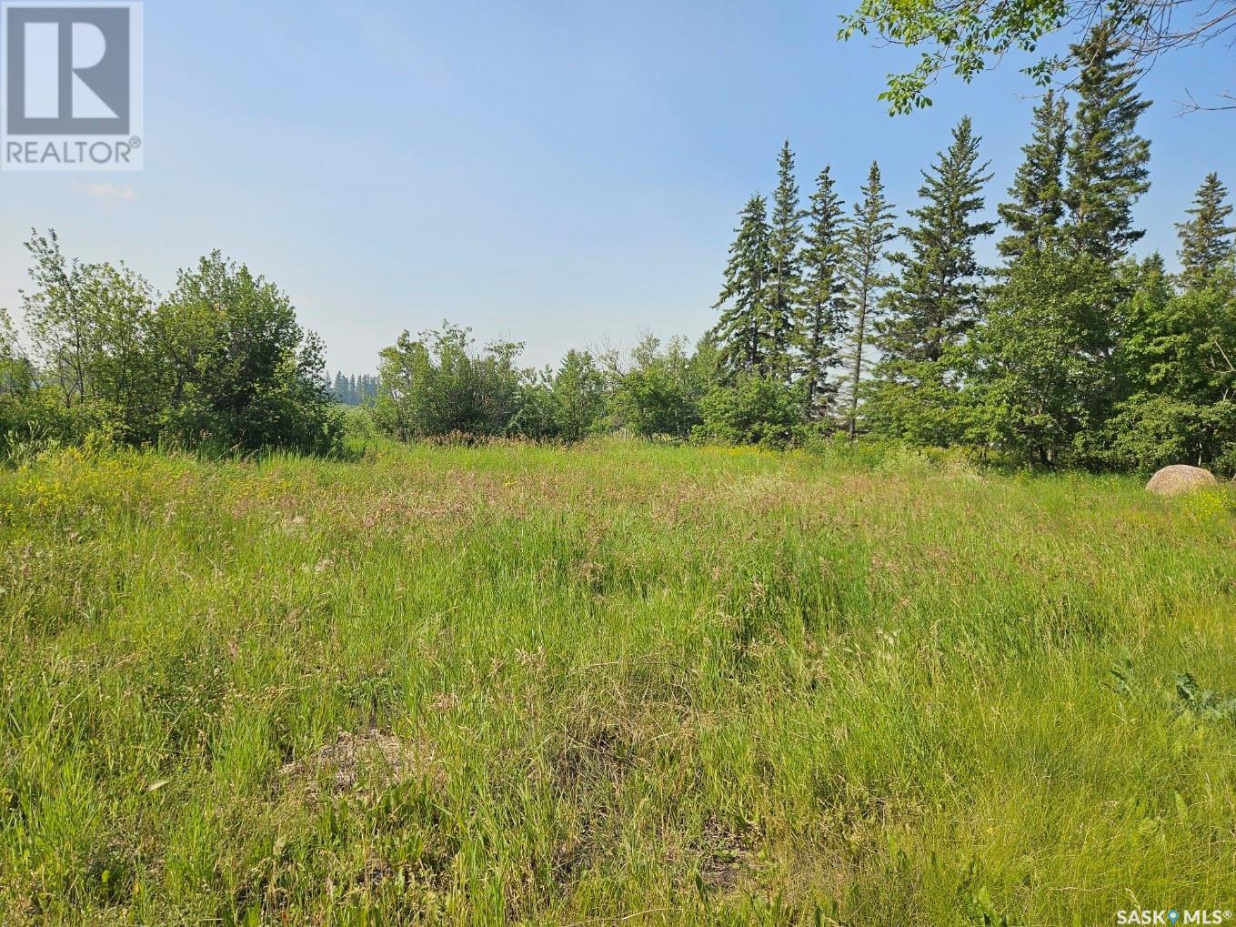 Paulson Acreage, Ponass Lake Rm No. 367, Saskatchewan  S0E 1M0 - Photo 15 - SK008825