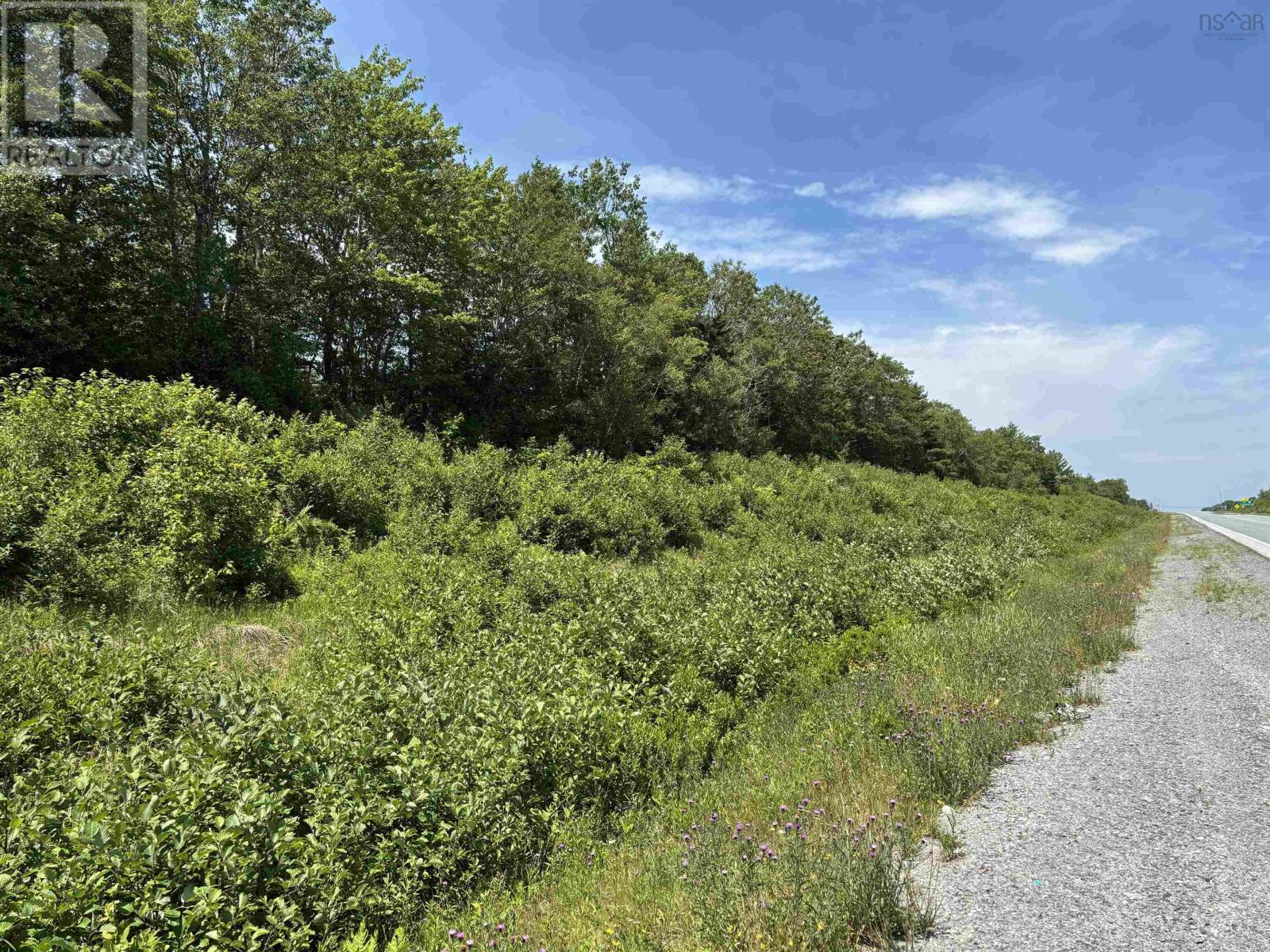 Lot (Pid 70164488) Highway 103, White Point, Nova Scotia  B0T 1K0 - Photo 15 - 202518548