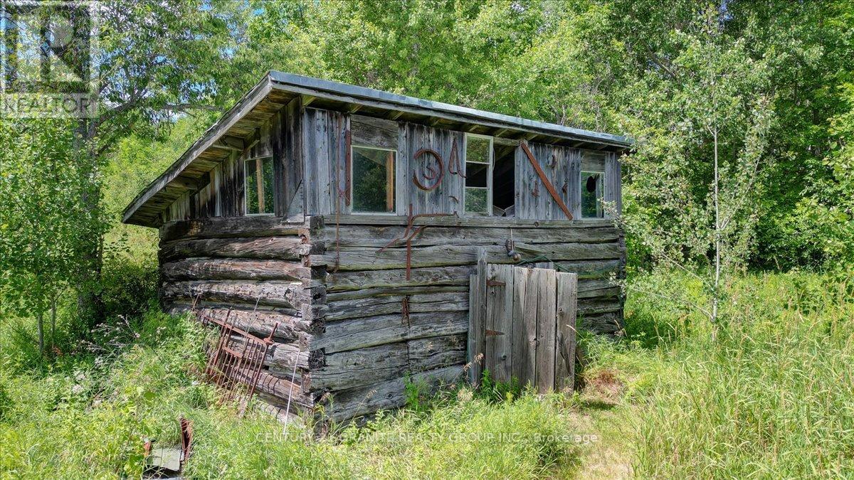 710 Rose Island Road, North Kawartha, Ontario  K0L 1P0 - Photo 33 - X12304245