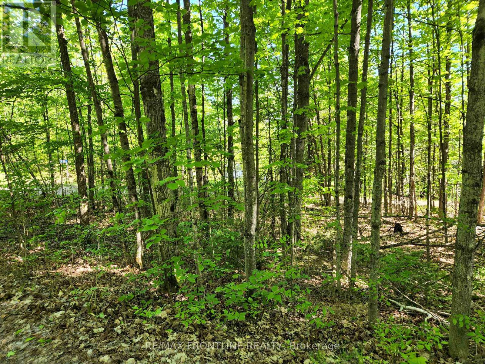 28578 Hwy 7 Highway, Frontenac, Ontario  K0H 2B0 - Photo 2 - X12304533