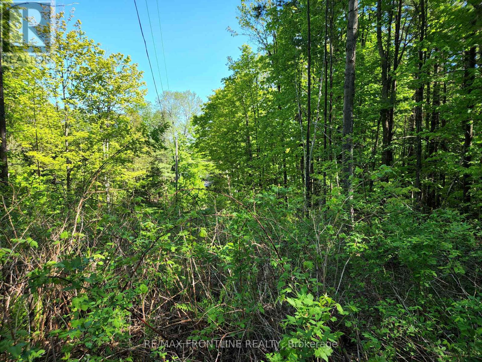 28578 Hwy 7 Highway, Frontenac, Ontario  K0H 2B0 - Photo 3 - X12304533