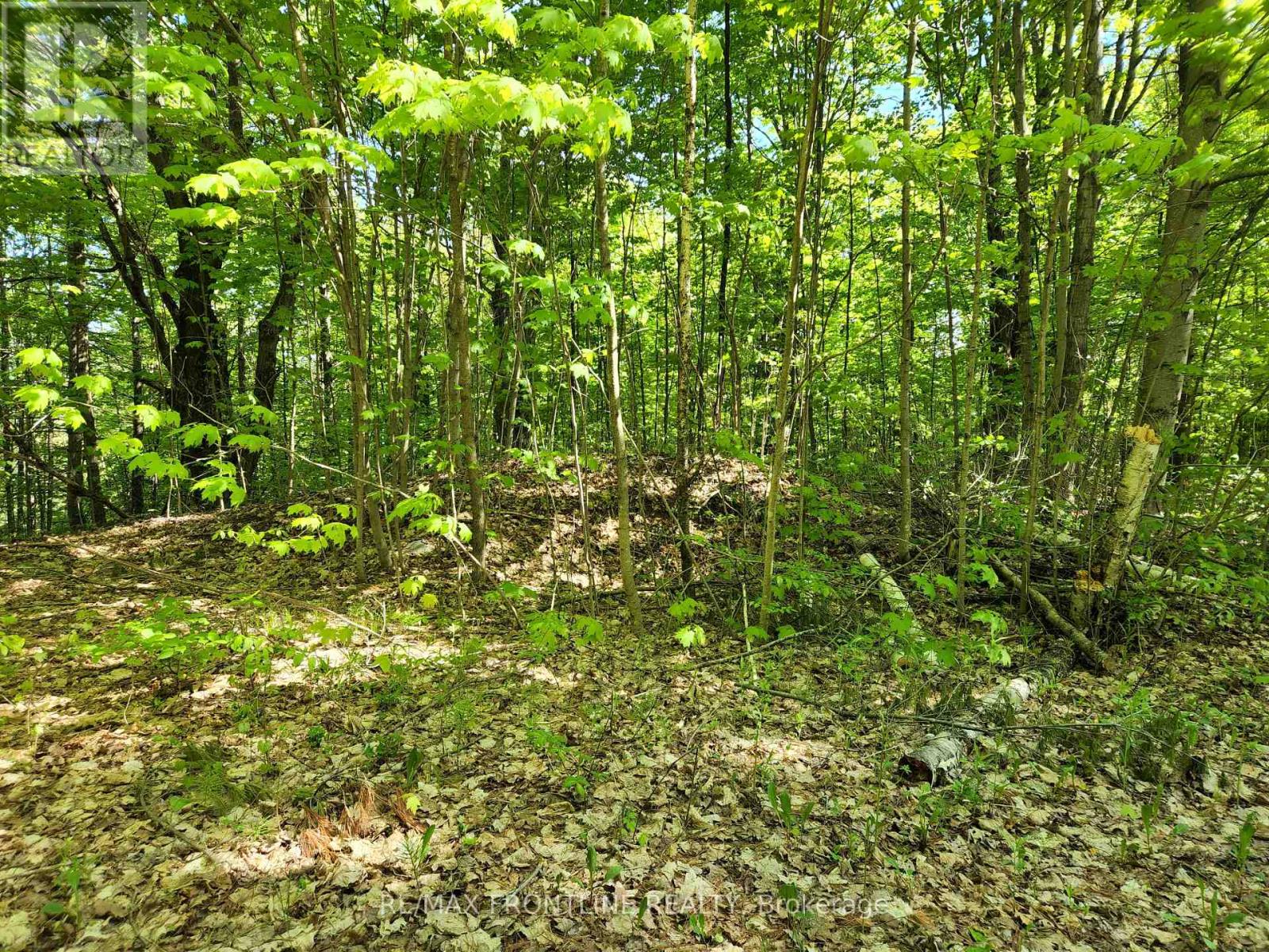 28578 Hwy 7 Highway, Frontenac, Ontario  K0H 2B0 - Photo 4 - X12304533